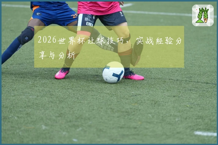 2026世界杯让球技巧，实战经验分享与分析