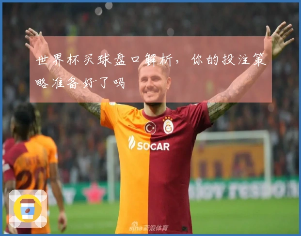 世界杯买球盘口解析，你的投注策略准备好了吗