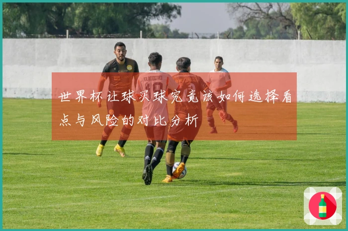 世界杯让球买球究竟该如何选择看点与风险的对比分析