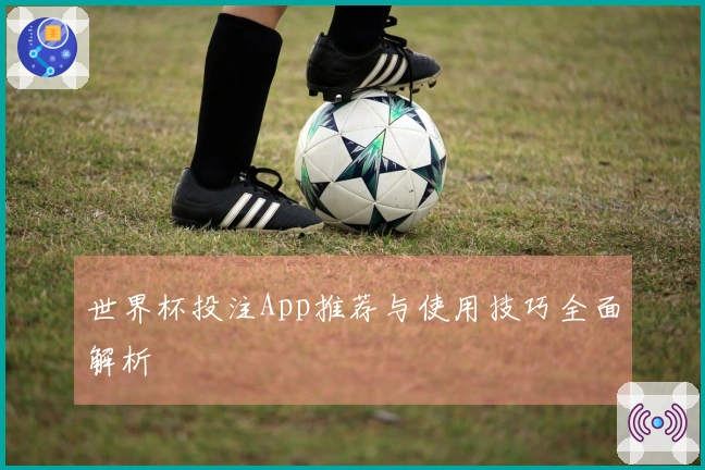 世界杯投注App推荐与使用技巧全面解析
