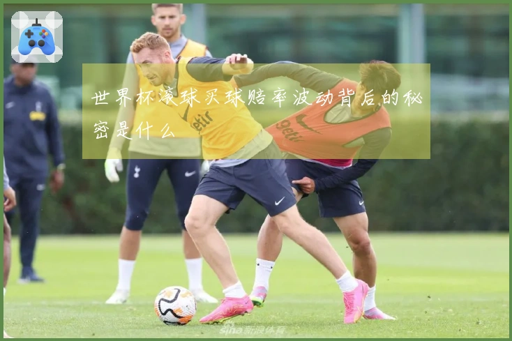 世界杯滚球买球赔率波动背后的秘密是什么