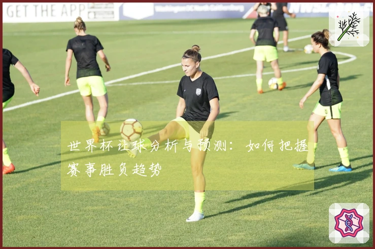 世界杯让球分析与预测：如何把握赛事胜负趋势